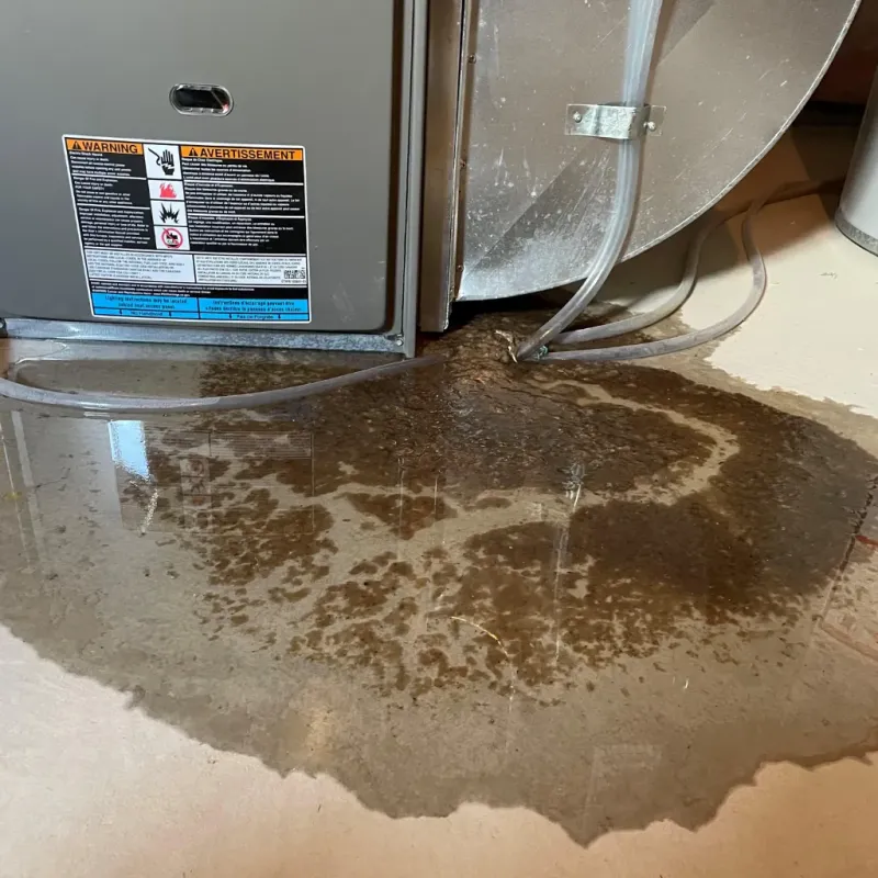 Appliance Leak Cleanup in Alamo, NV